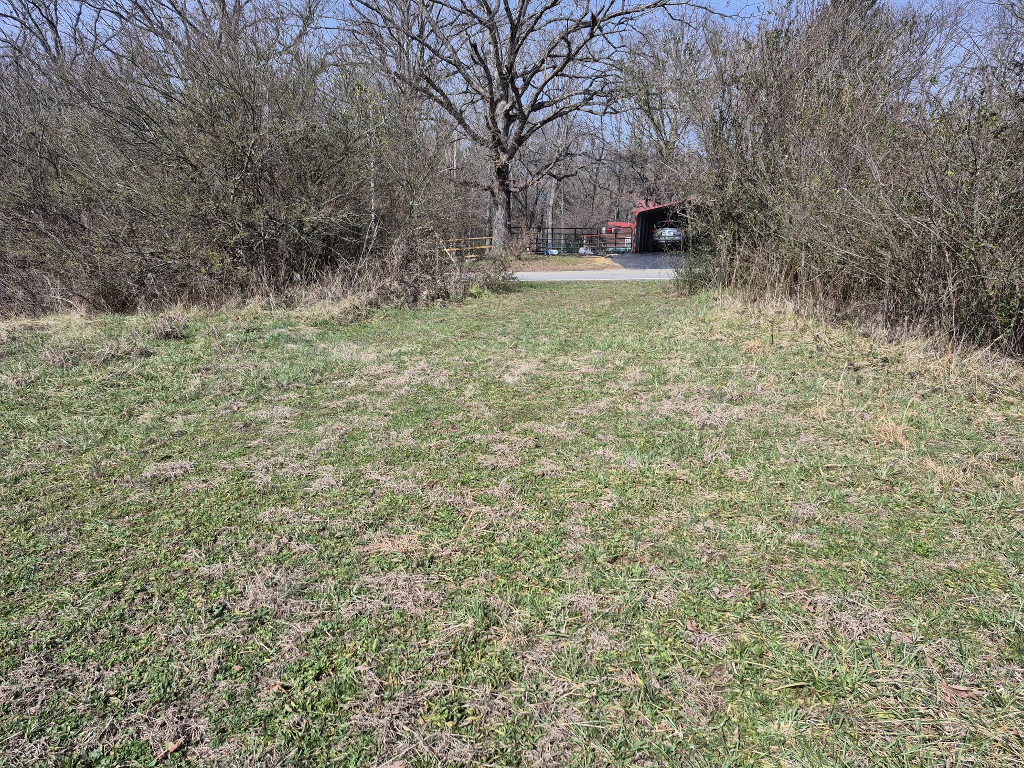 4352 Knights Church Road Decherd, TN 37324 - Photo 6 of 12 a view of a tree in the middle of a yard