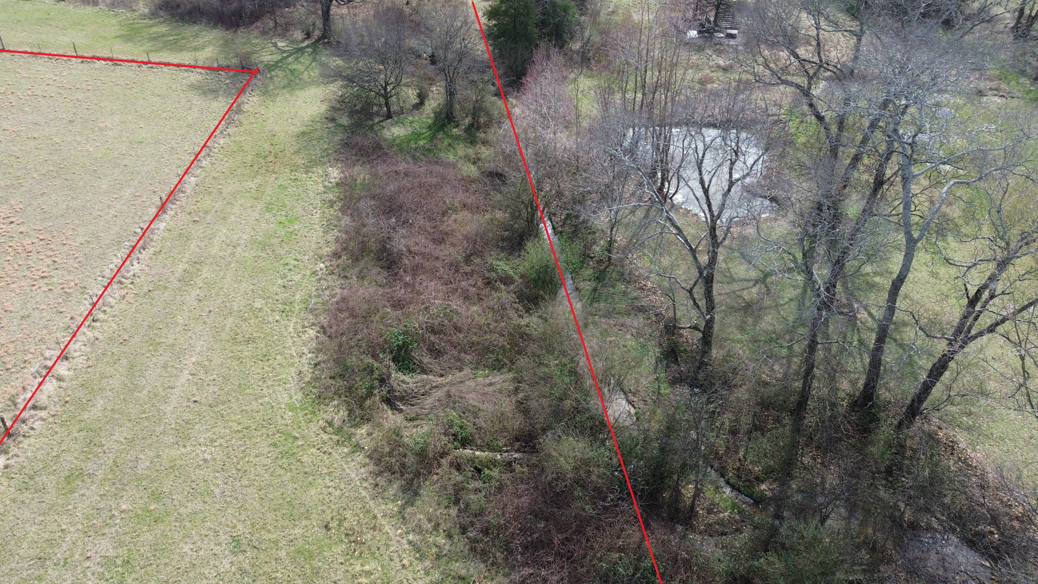 4352 Knights Church Road Decherd, TN 37324 - Photo 8 of 12 a view of a yard