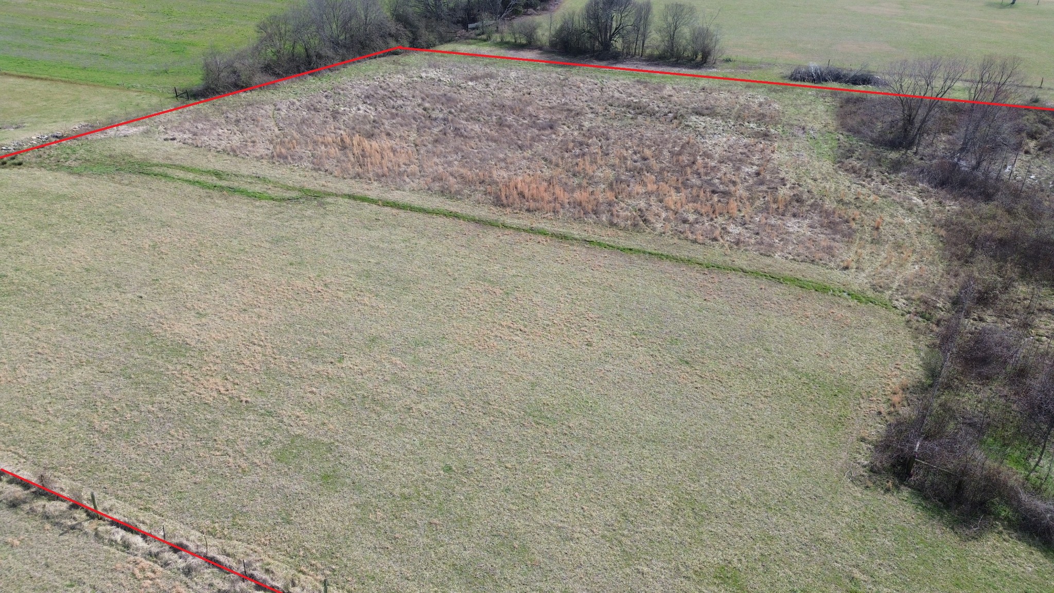 4352 Knights Church Road Decherd, TN 37324 - Photo 10 of 12 a view of a dry yard with wooden fence