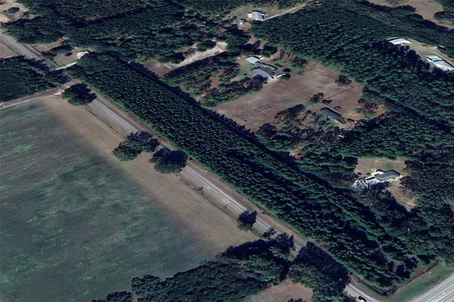 a view of a forest with trees in the background