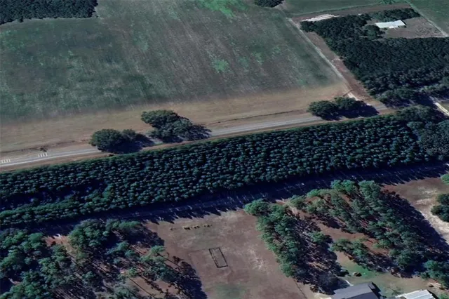 a view of a yard with a tree