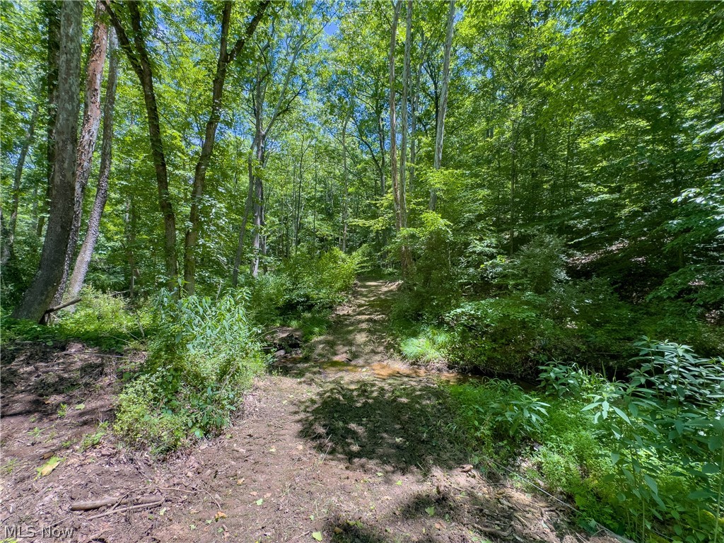 0 Long Hollow Road Pomeroy, OH 45769 - Photo 28 of 31