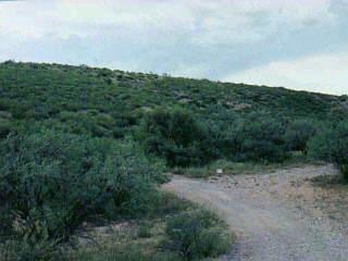 0 East Hilton Ranch Road Tucson, AZ 85747 - Photo 4 of 5