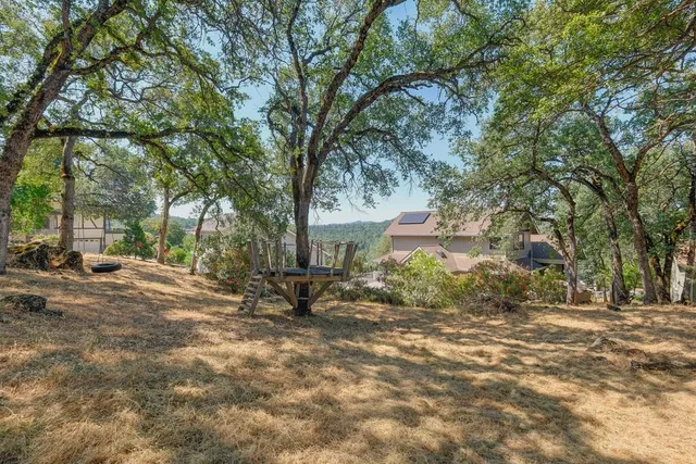 a view of a yard with plants and trees