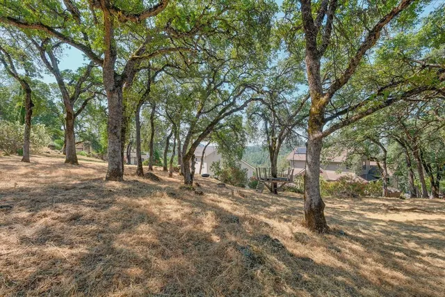 a view of dirt yard with a tree