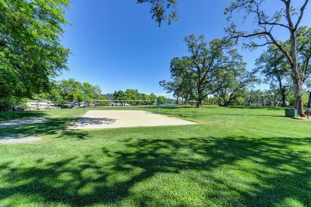 a view of a park with large trees
