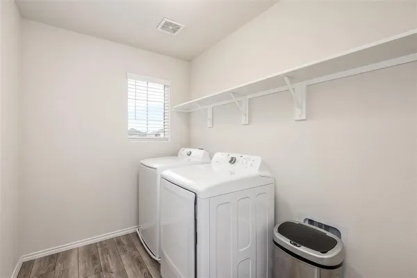 a view of a backyard with plants and large tree