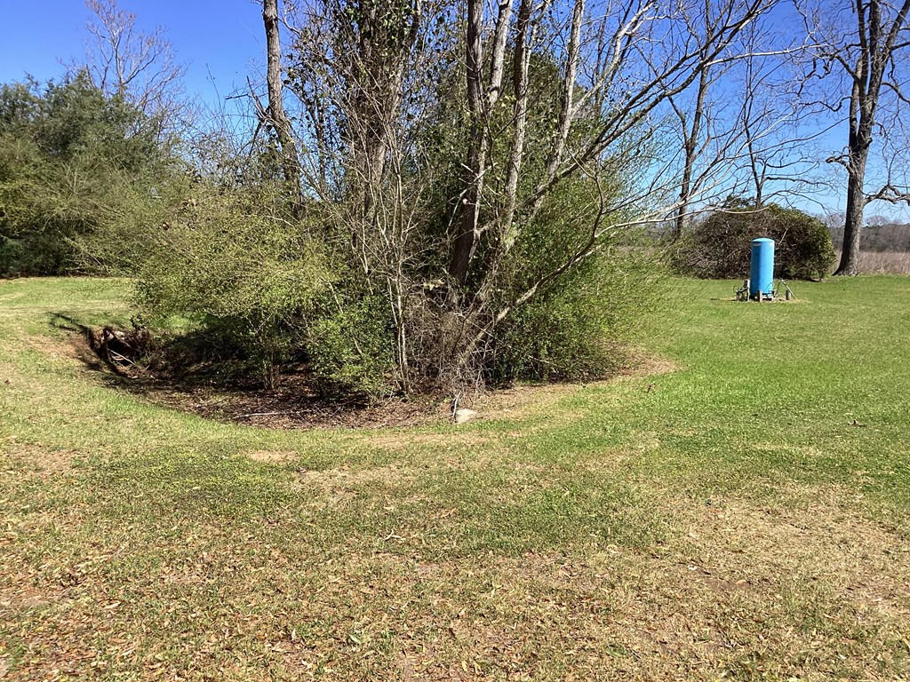 0 Benton Store Road Columbia, AL 36319 - Photo 4 of 24