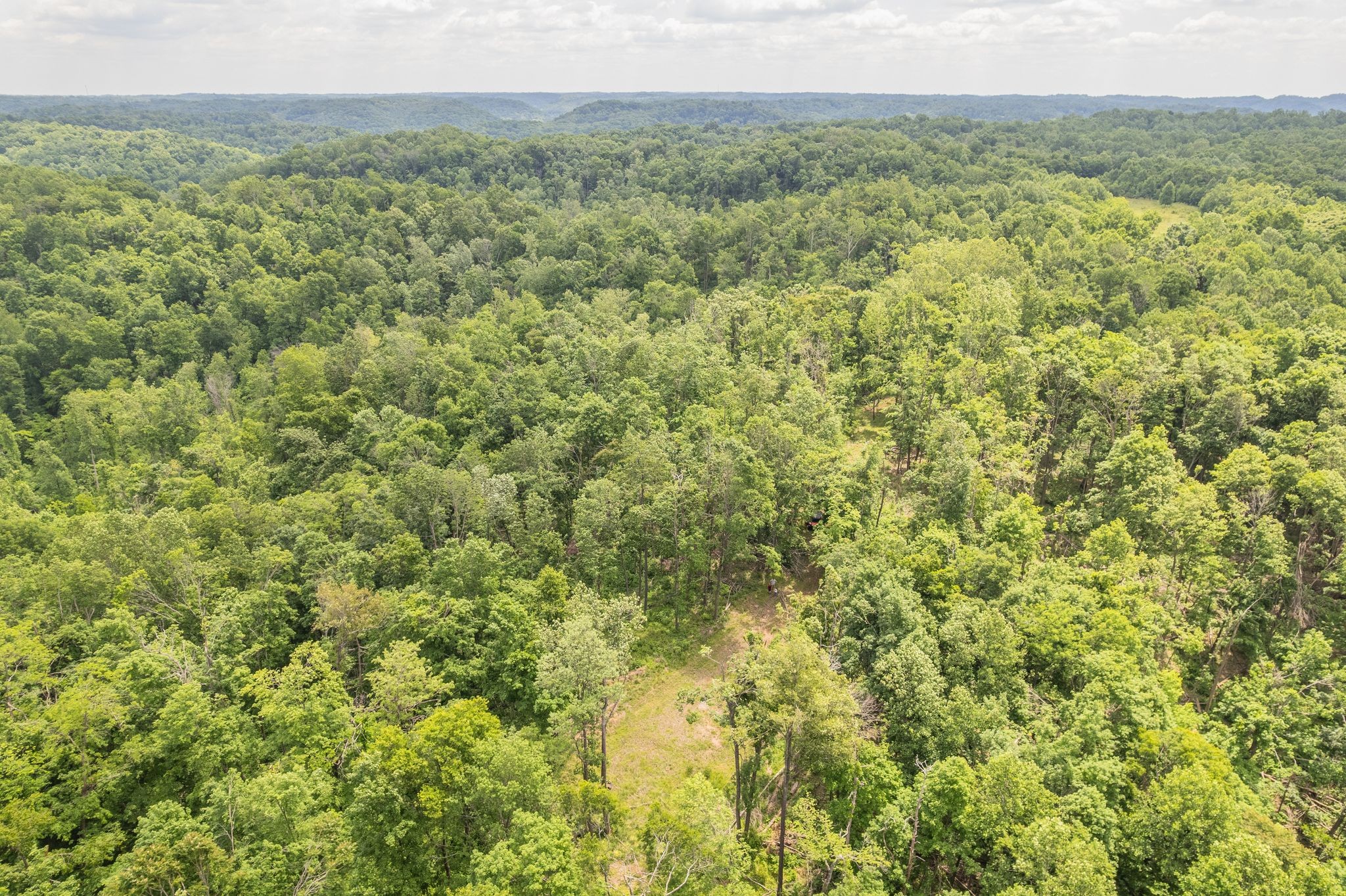 0 Rbk Bethpage, TN 37022 - Photo 6 of 6