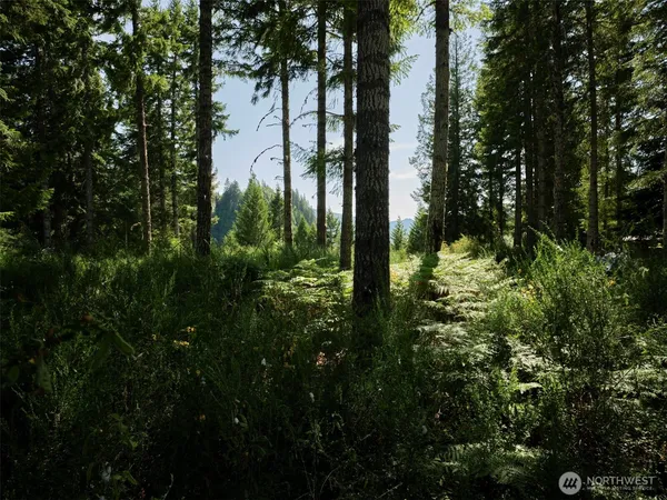 $325,000 | 0 Phyllis Ann Block Court, Cougar, WA 98616