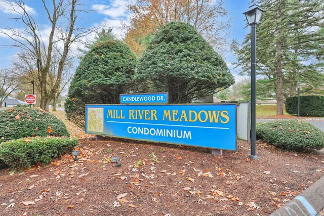 a view of a street sign under a large tree