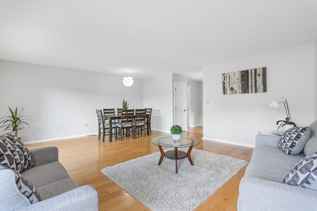 306 Tappan Street, Unit B Brookline, MA 02445 - Photo 3 of 35 a living room with furniture and a dining table with garden view