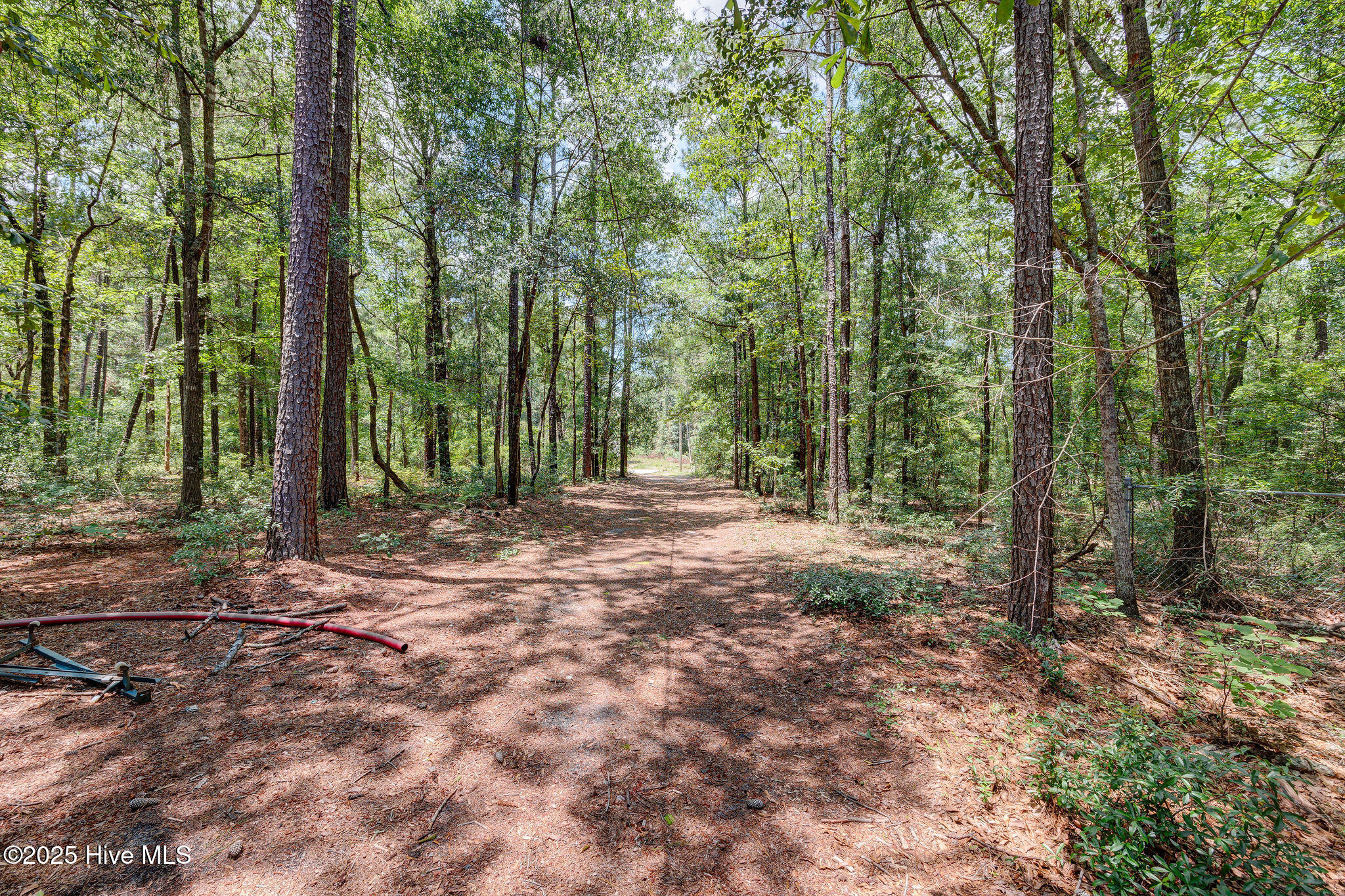 550 Beaver Ridge Drive Riegelwood, NC 28456 - Photo 18 of 39 550BeaverRidgeDrive-28