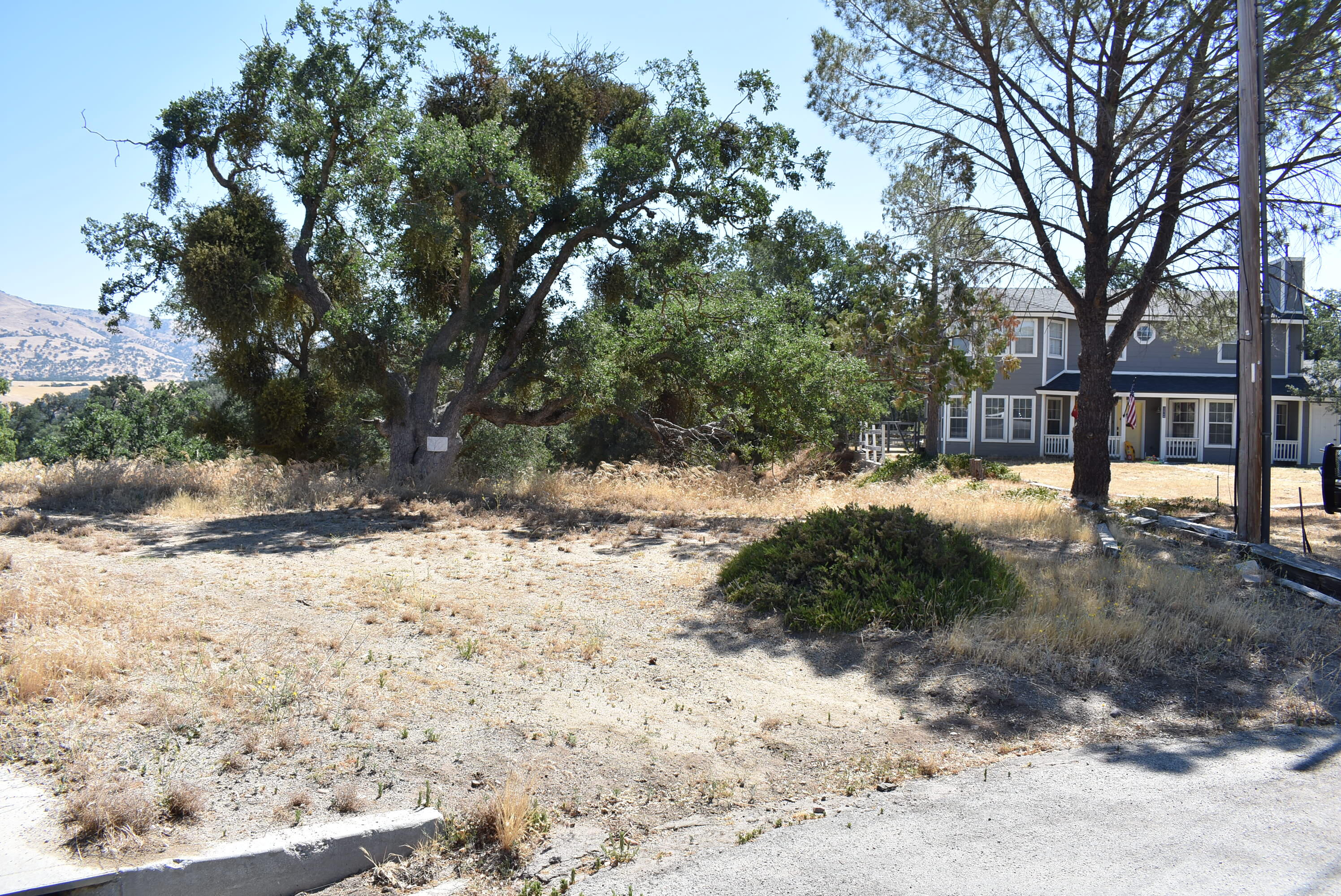 22948 Rim Way Tehachapi, CA 93561 - Photo 2 of 16 a view of a yard with a tree