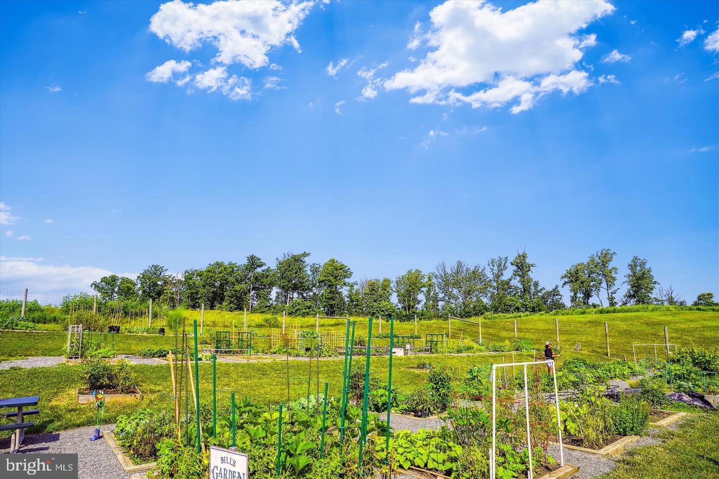 2105 Hemlock Bay Road Dumfries, VA 22026 - Photo 40 of 48 a view of a city