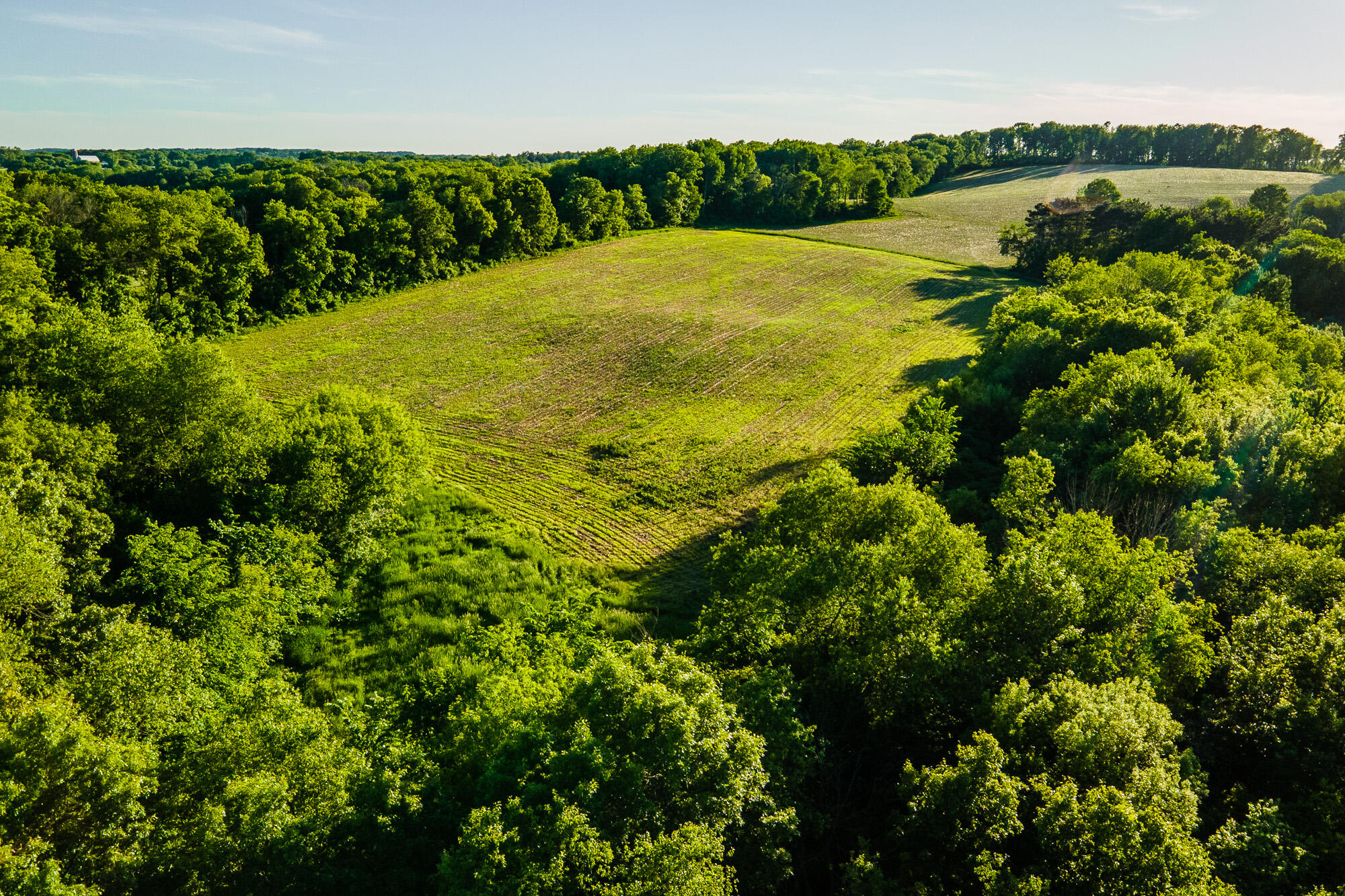 Lt0 Eli Valley Road Hillpoint, WI 53937 - Photo 13 of 29 Sauk-County-WI-17-Acres-Land-For-Sale-Su