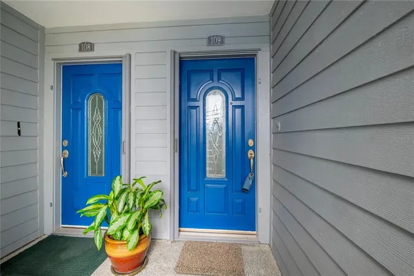 a potted plant in front of a door