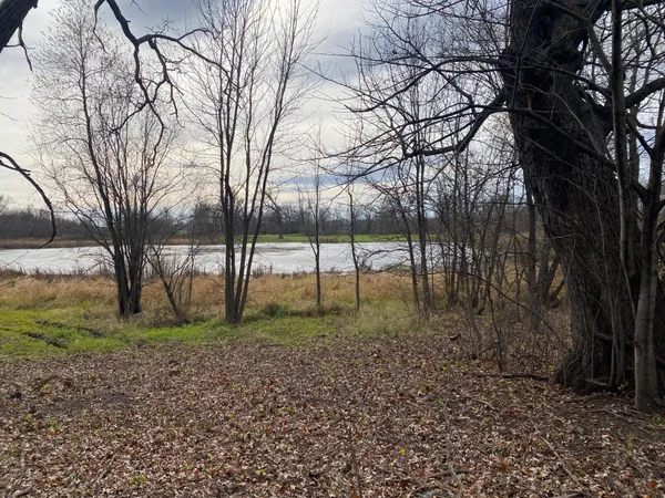 $99,000 | Xxxx Donway Drive Northeast, Alexandria, MN 56308