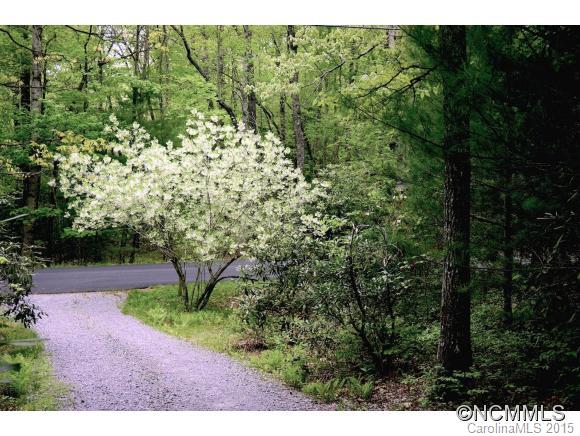 667 Cardinal Road Brevard, NC 28712 - Photo 21 of 24 Gallery Image 21