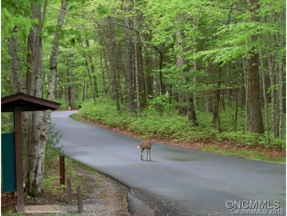 667 Cardinal Road Brevard, NC 28712 - Photo 22 of 24 Gallery Image 22