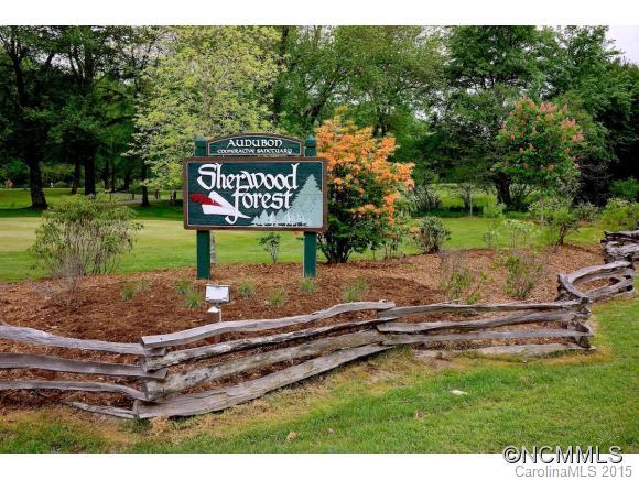 667 Cardinal Road Brevard, NC 28712 - Photo 24 of 24 Gallery Image 24