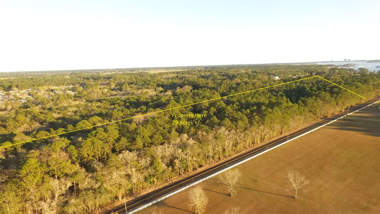 24570 Miflin Road Elberta, AL 36530 - Photo 3 of 15