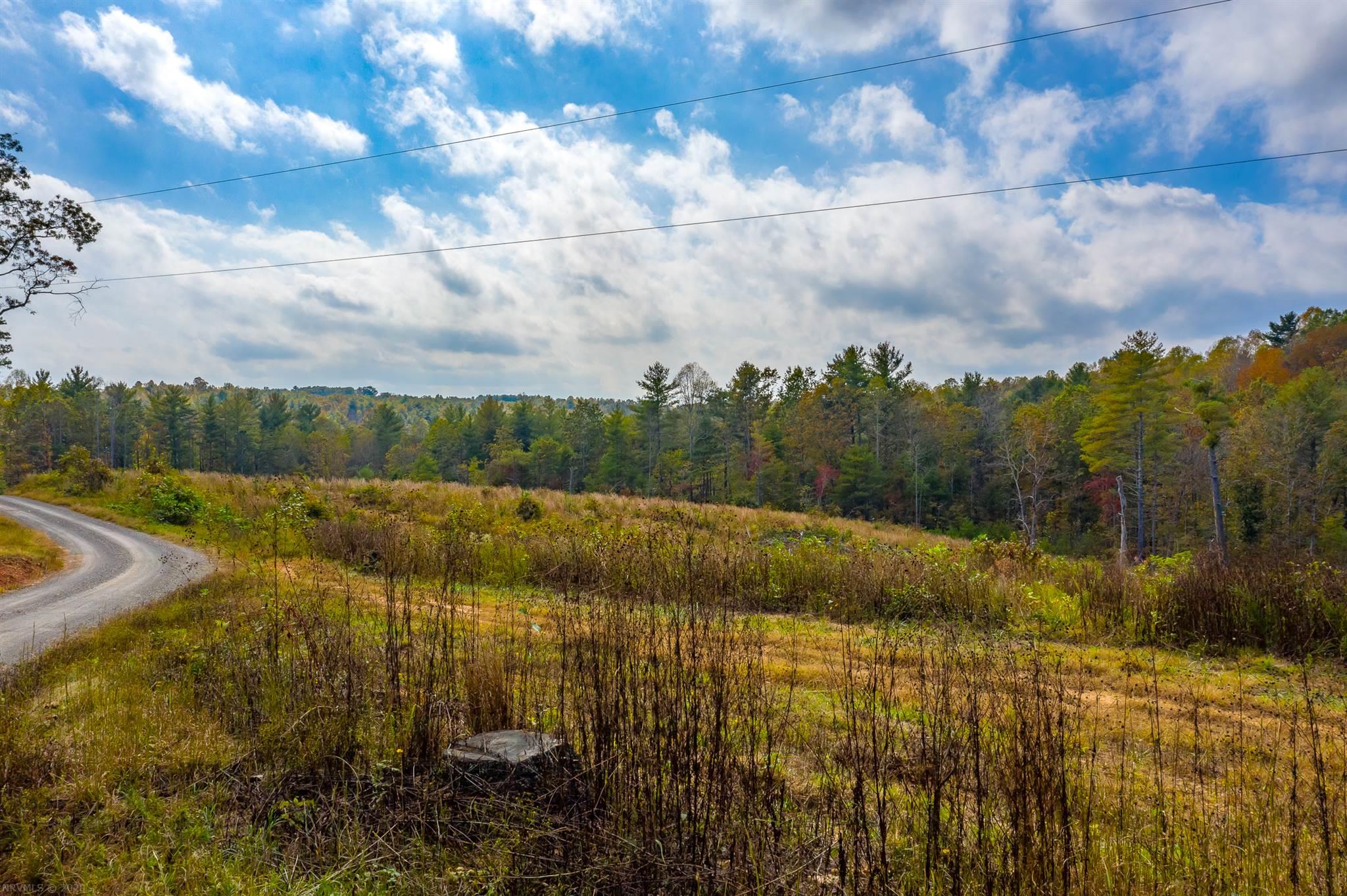 0 Flint Hill Road Cana, VA 24317 - Photo 36 of 38 Gallery Image 36