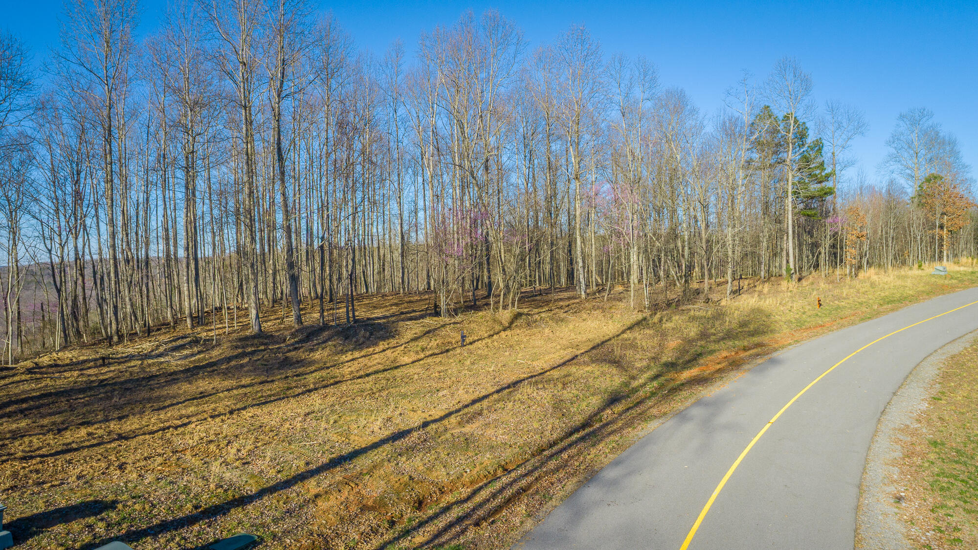 0 Cherokee Path, Unit JF269 Jasper, TN 37347 - Photo 69 of 94 0 Cherokee Path - JF269 HD-68