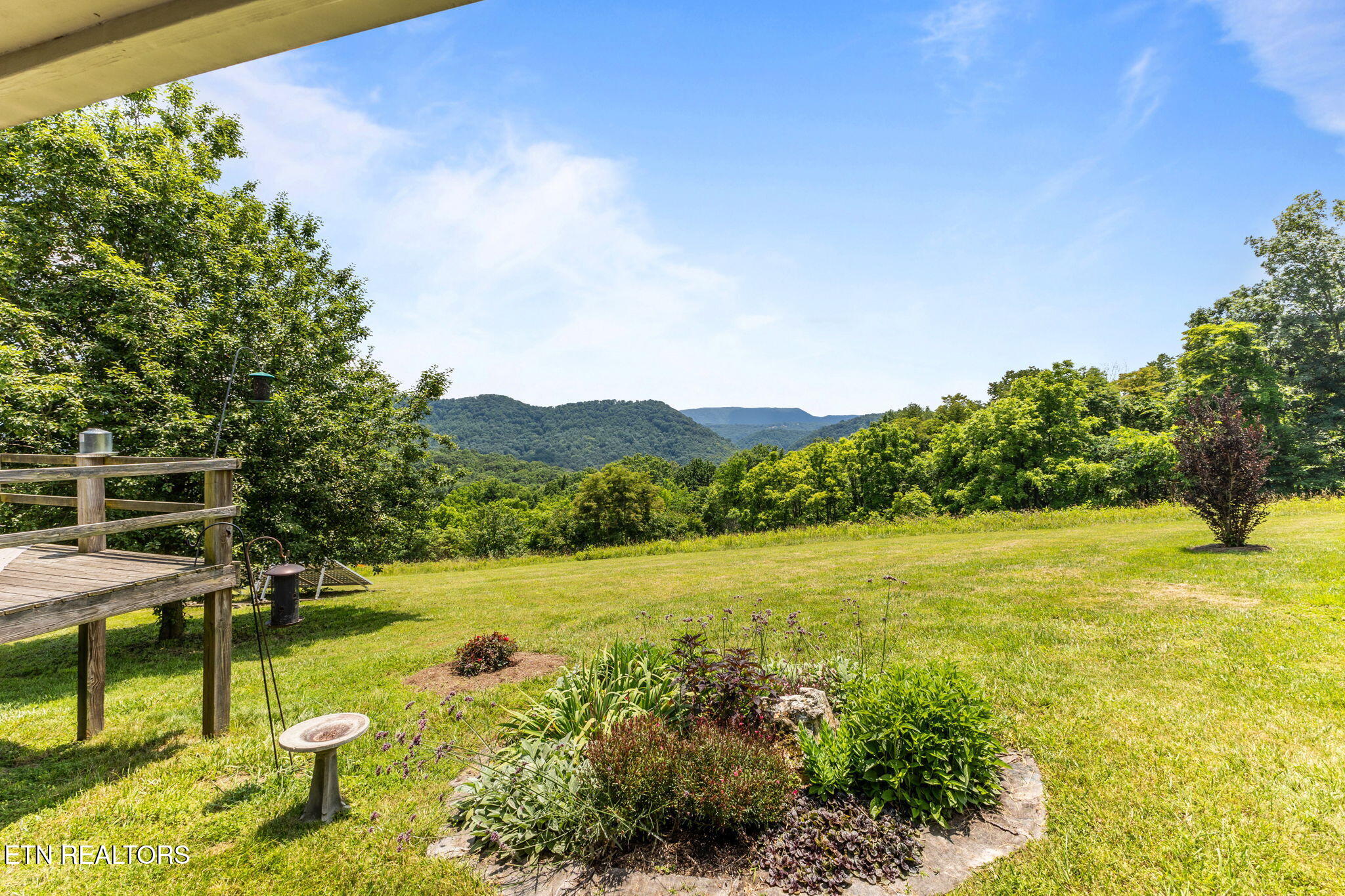 891 New Harvest Road Washburn, TN 37888 - Photo 35 of 43 35-web-or-mls-3F1A7732