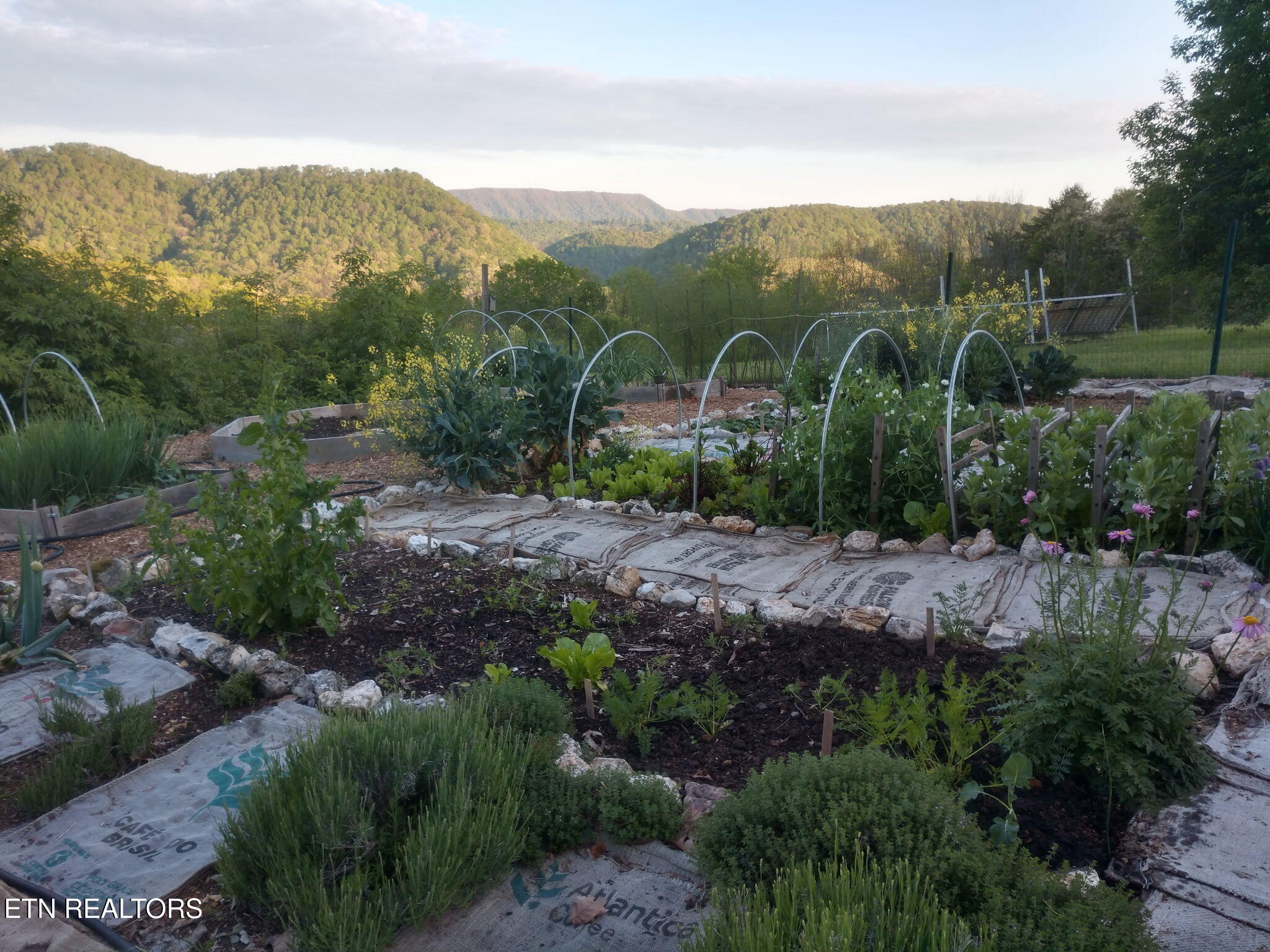 891 New Harvest Road Washburn, TN 37888 - Photo 38 of 43 Organic Garden