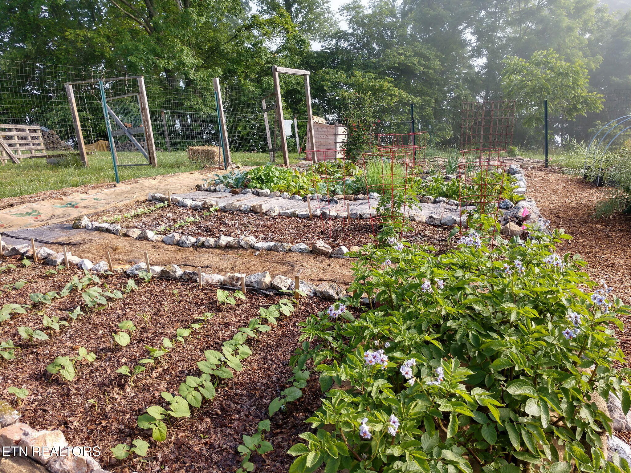 891 New Harvest Road Washburn, TN 37888 - Photo 39 of 43 Organic Garden