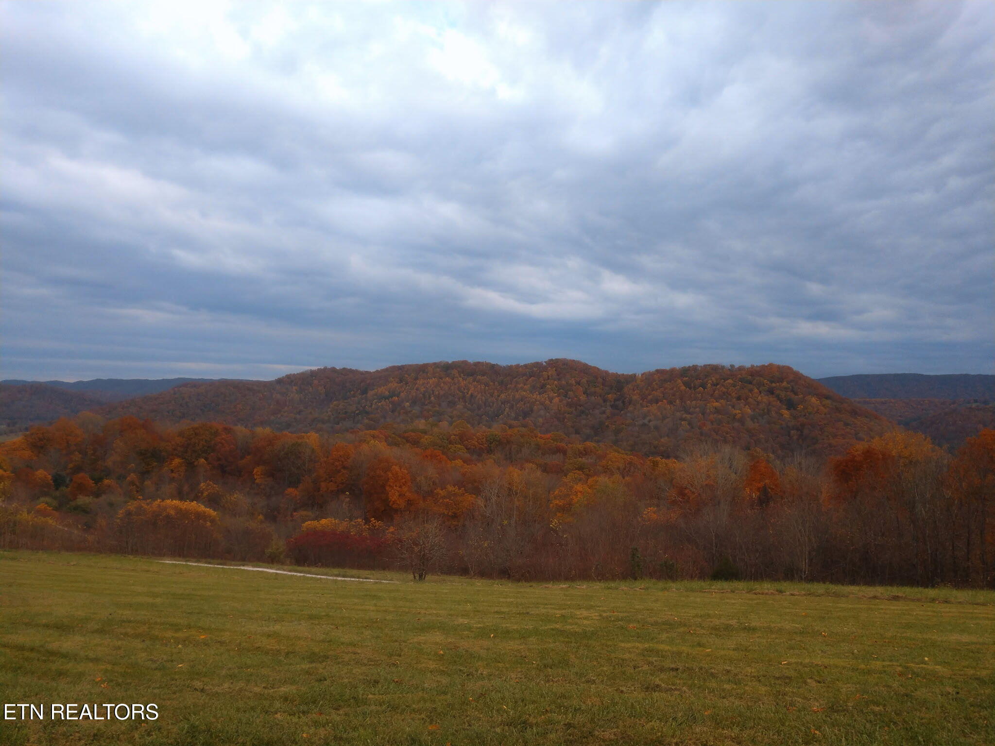 891 New Harvest Road Washburn, TN 37888 - Photo 40 of 43 Fall View
