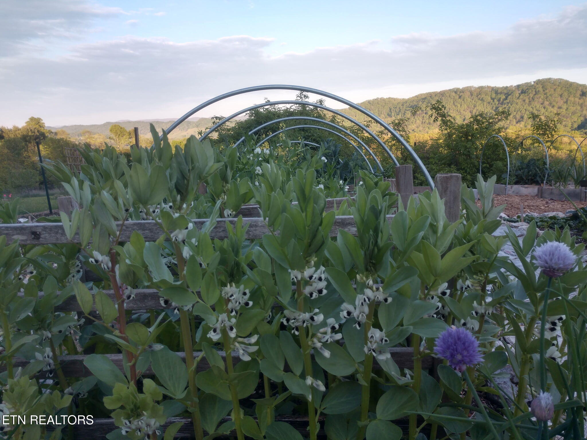 891 New Harvest Road Washburn, TN 37888 - Photo 41 of 43 Garden