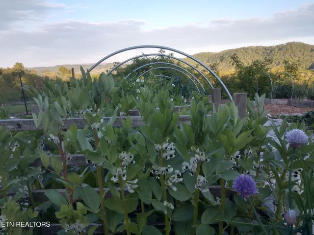 $340,000 | 891 New Harvest Road, Washburn, TN 37888