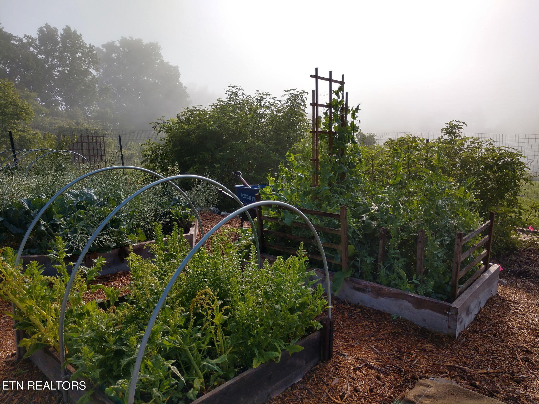 891 New Harvest Road Washburn, TN 37888 - Photo 42 of 43 Organic Garden