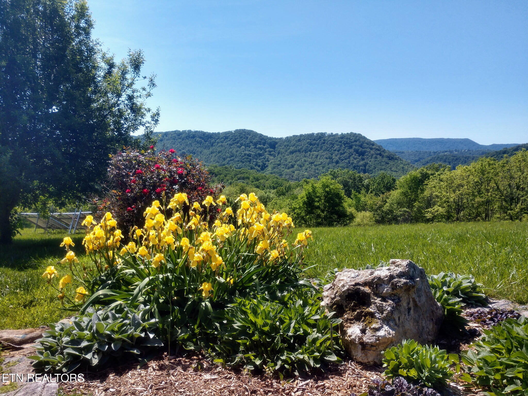 891 New Harvest Road Washburn, TN 37888 - Photo 43 of 43 Beautiful Views