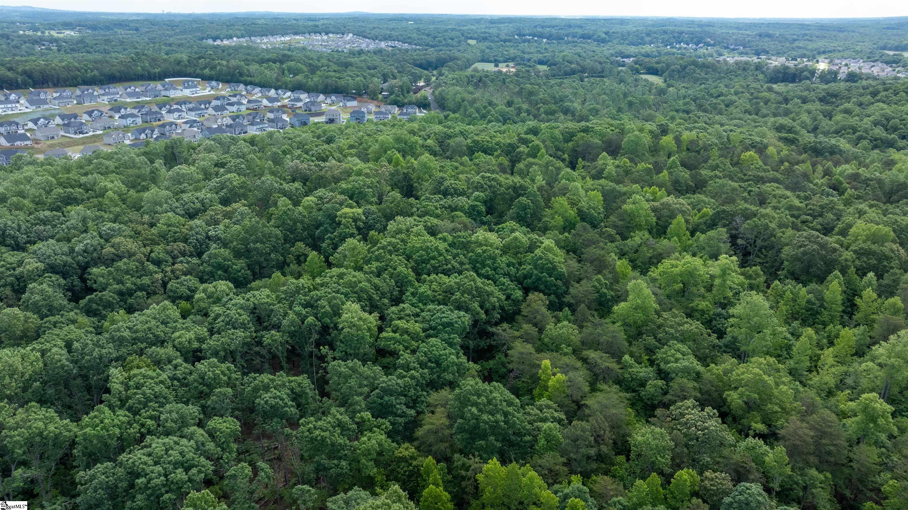 0 Old Mill Road Easley, SC 29642 - Photo 9 of 9
