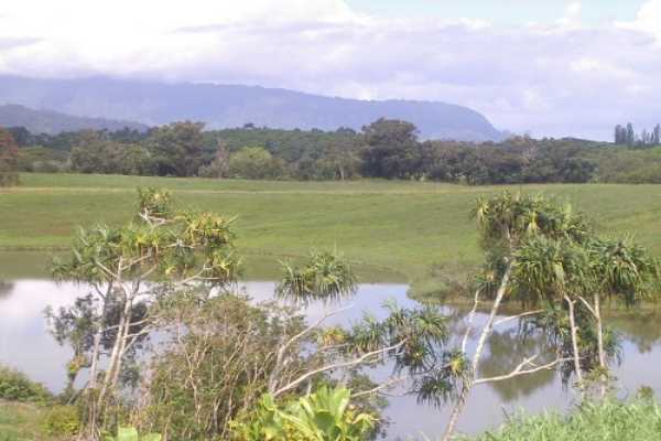 Huli Road, Unit 1 Kilauea, HI 96754 - Photo 3 of 8