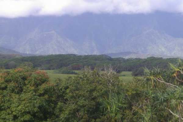 Huli Road, Unit 1 Kilauea, HI 96754 - Photo 7 of 8