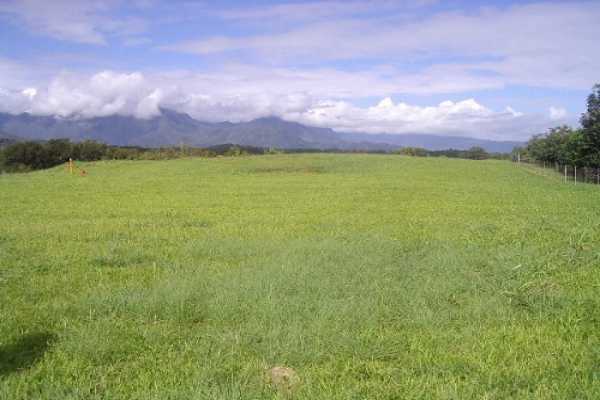 Huli Road, Unit 1 Kilauea, HI 96754 - Photo 8 of 8