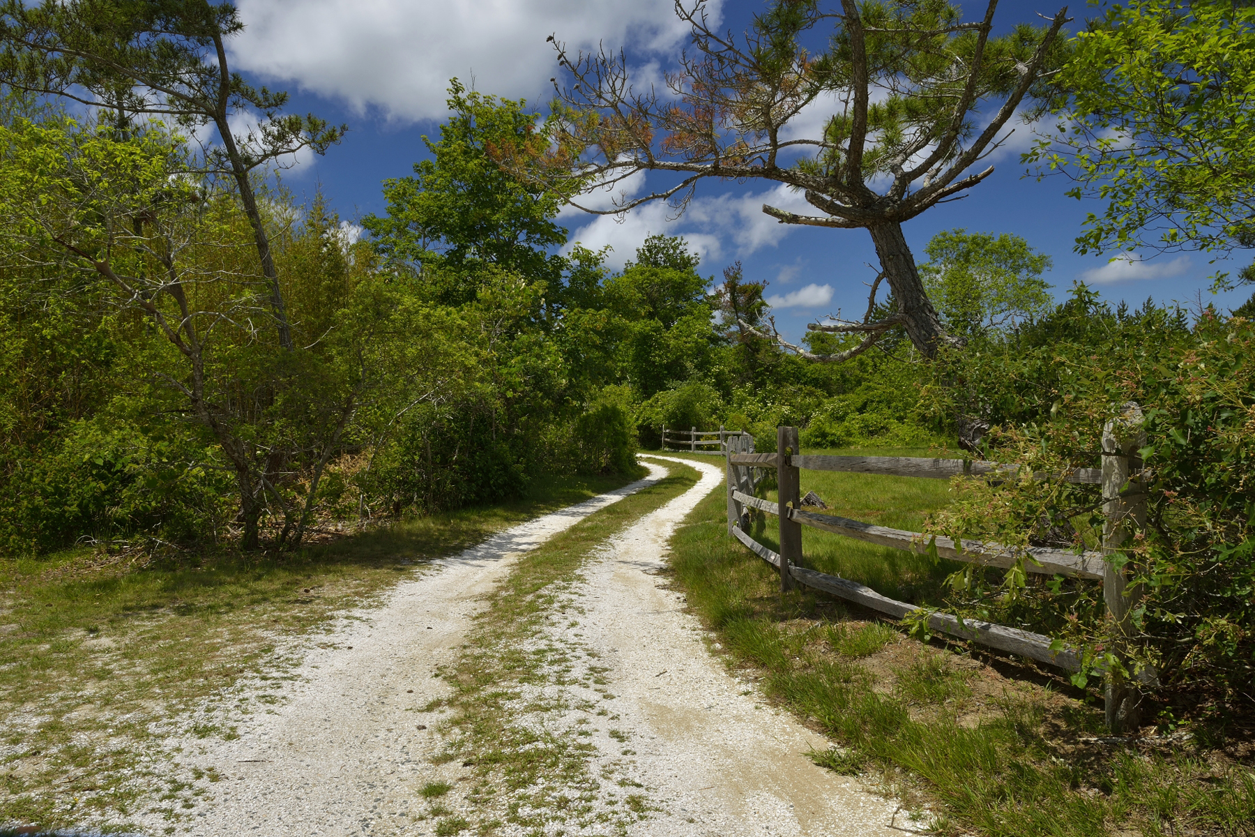 316 Polpis Road Nantucket, MA 02554 - Photo 5 of 16 Gallery Image 5