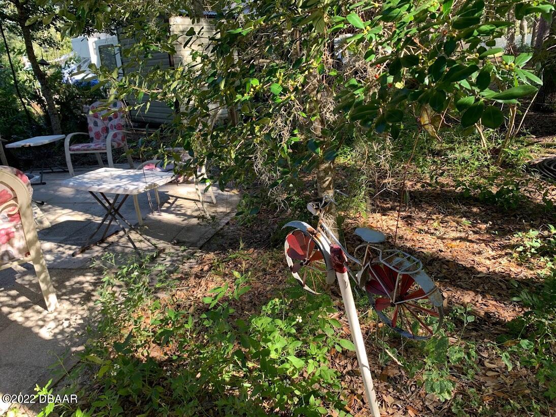 14171 Northeast 252nd Ct Road Salt Springs, FL 32134 - Photo 18 of 30 lot 105 pic 25