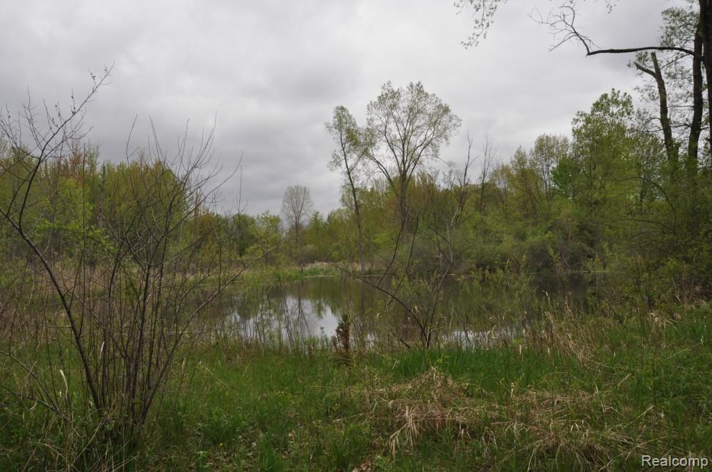L2 Euler Road Brighton, MI 48114 - Photo 3 of 8