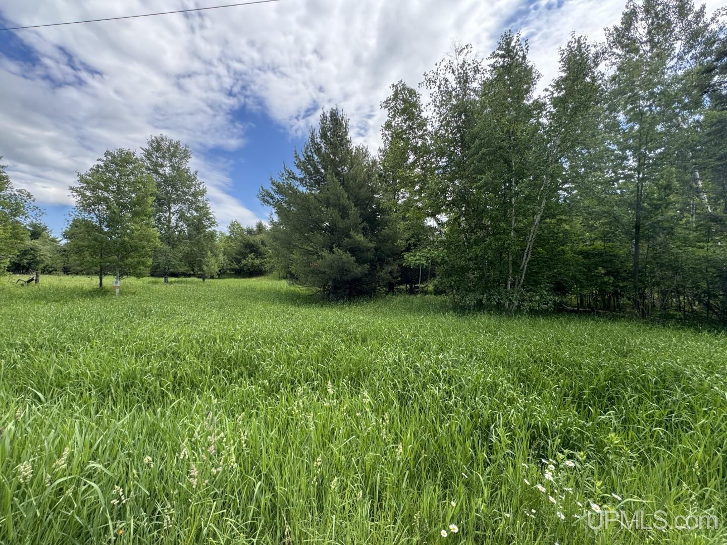 Tbd Bellaire Road Baraga, MI 49908 - Photo 3 of 23