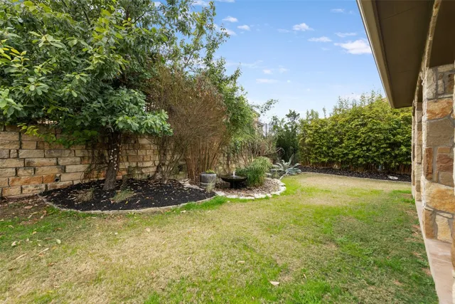 a view of a backyard with plants and tree
