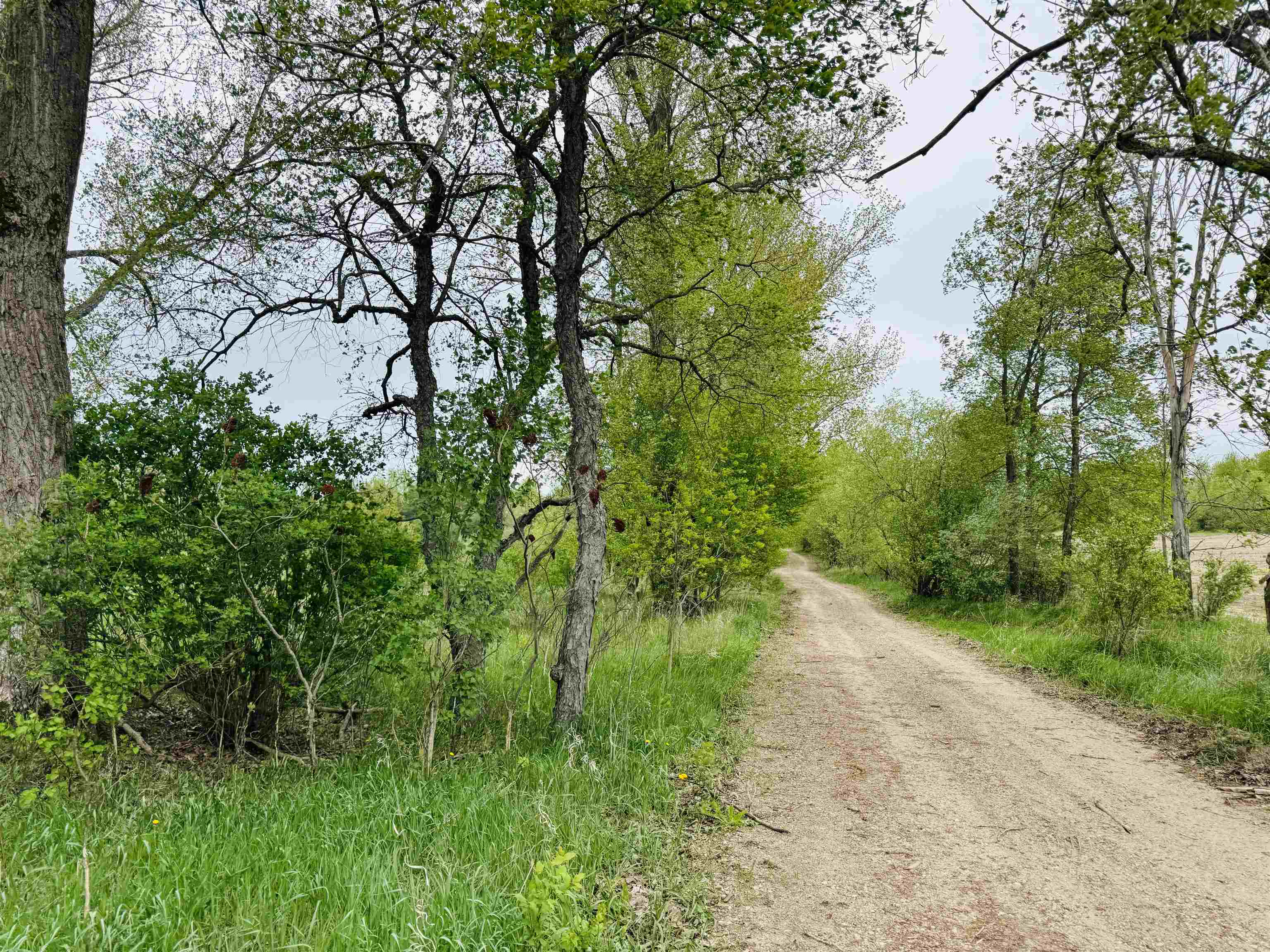 Parcel B2 Bosscher Road Manton, MI 49663 - Photo 3 of 13
