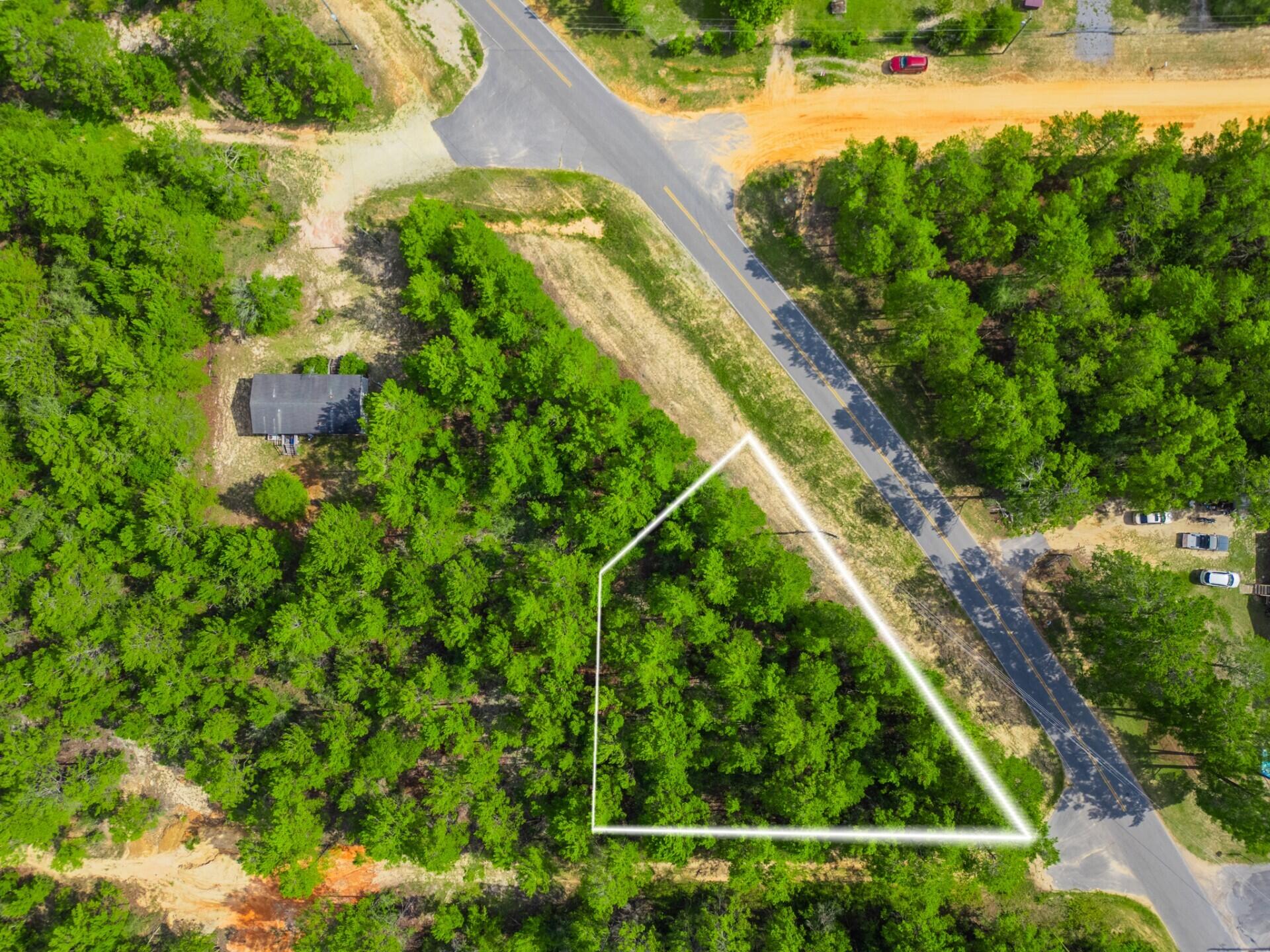 Tbd Tbd Girl Scout Road DeFuniak Springs, FL 32433 - Photo 3 of 9 a view of a yard with plants