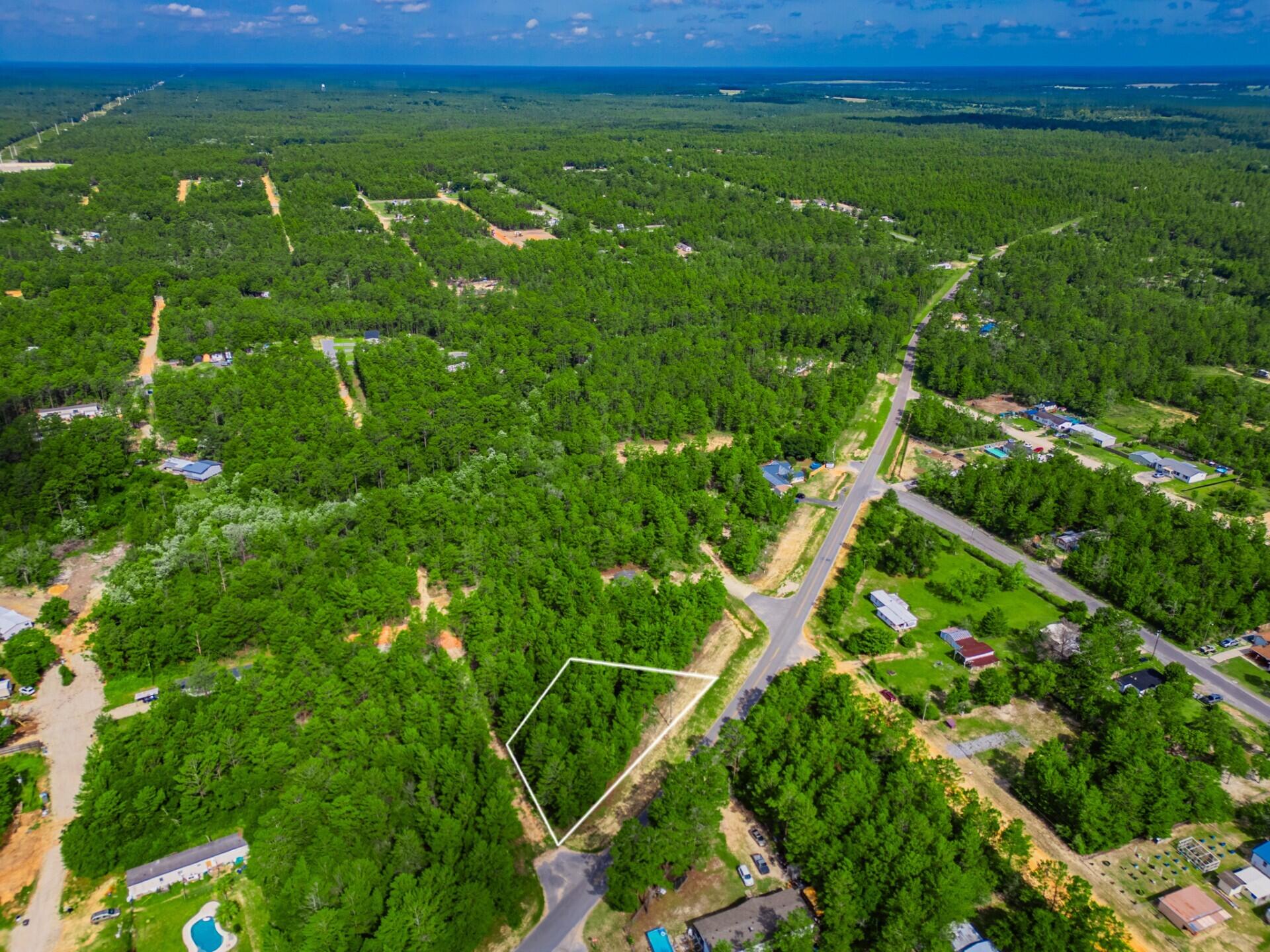 Tbd Tbd Girl Scout Road DeFuniak Springs, FL 32433 - Photo 6 of 9