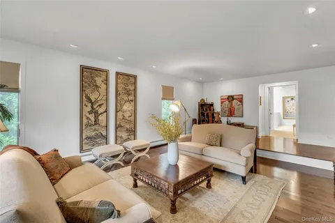 a living room with furniture and a potted plant