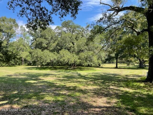 3000 Kiln Delisle Road Kiln, MS 39556 - Photo 18 of 28 IMG_7496